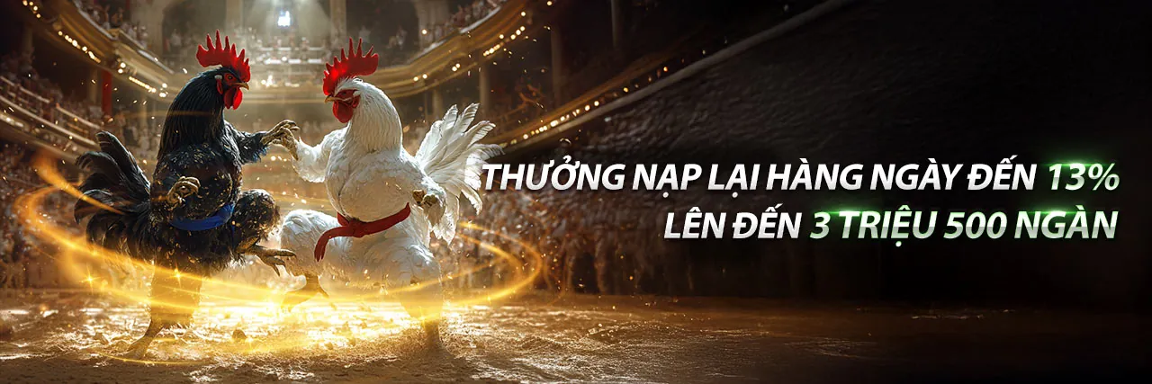 C54 Khuyến Mãi Hấp Dẫn Nhất 2026 - Nơi Cập Nhật Tin Tức Mới Nhất
