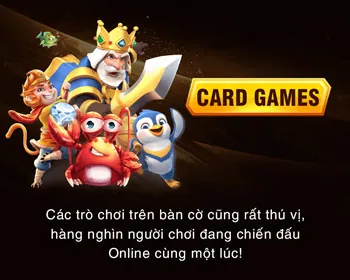 Hỗ trợ khách hàng 24/7 C54